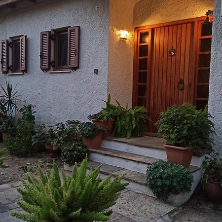Nafpaktos Cottage By The Sea For Travelers And Dreamers! Dış mekan fotoğraf