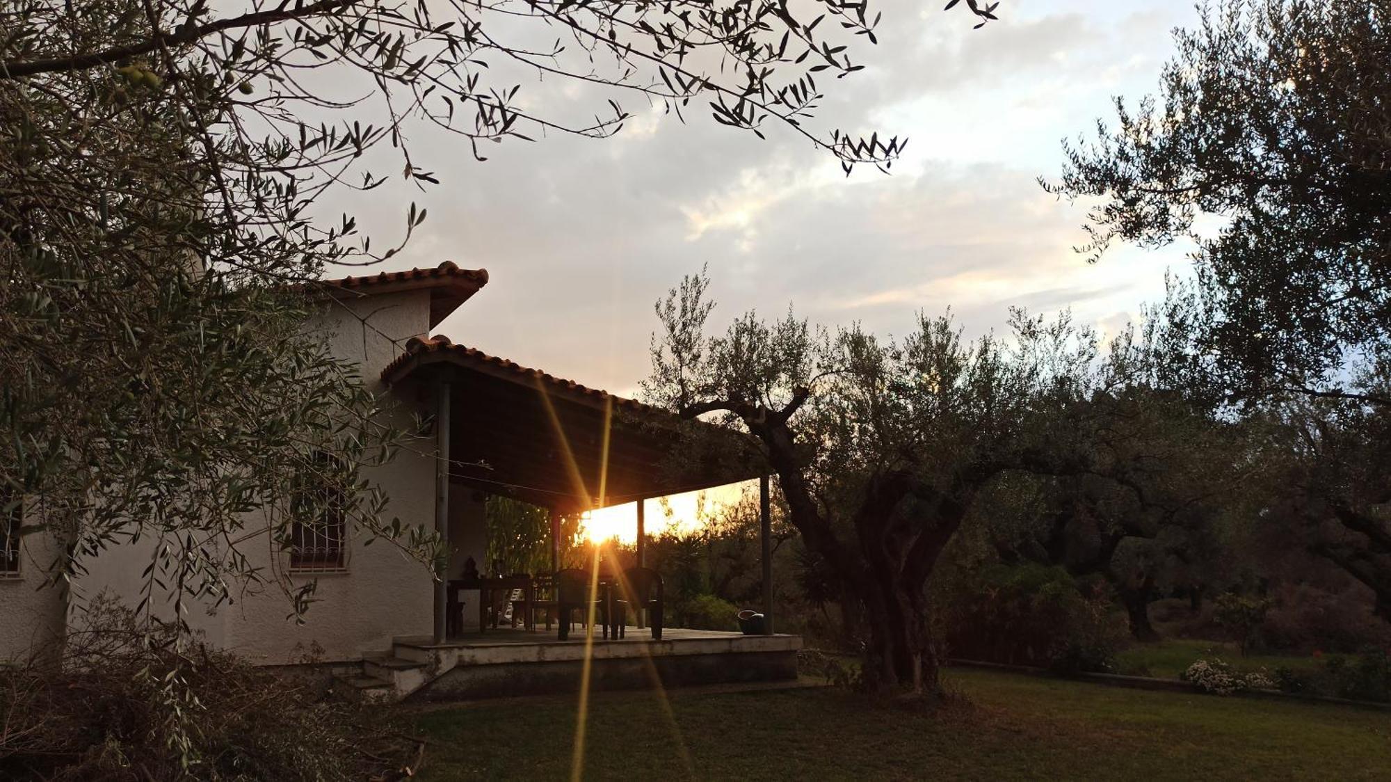 Nafpaktos Cottage By The Sea For Travelers And Dreamers! Dış mekan fotoğraf