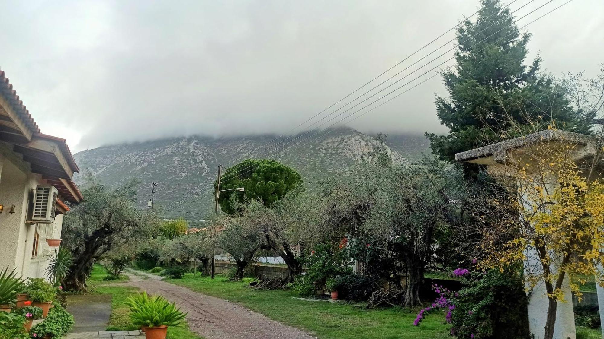 Nafpaktos Cottage By The Sea For Travelers And Dreamers! Dış mekan fotoğraf