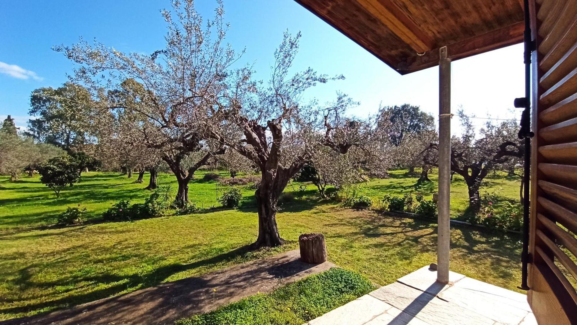 Nafpaktos Cottage By The Sea For Travelers And Dreamers! Dış mekan fotoğraf