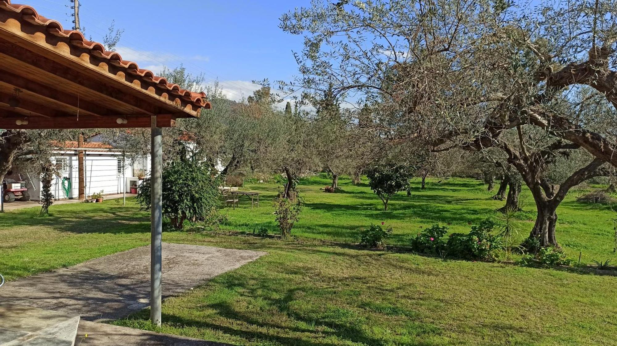 Nafpaktos Cottage By The Sea For Travelers And Dreamers! Dış mekan fotoğraf