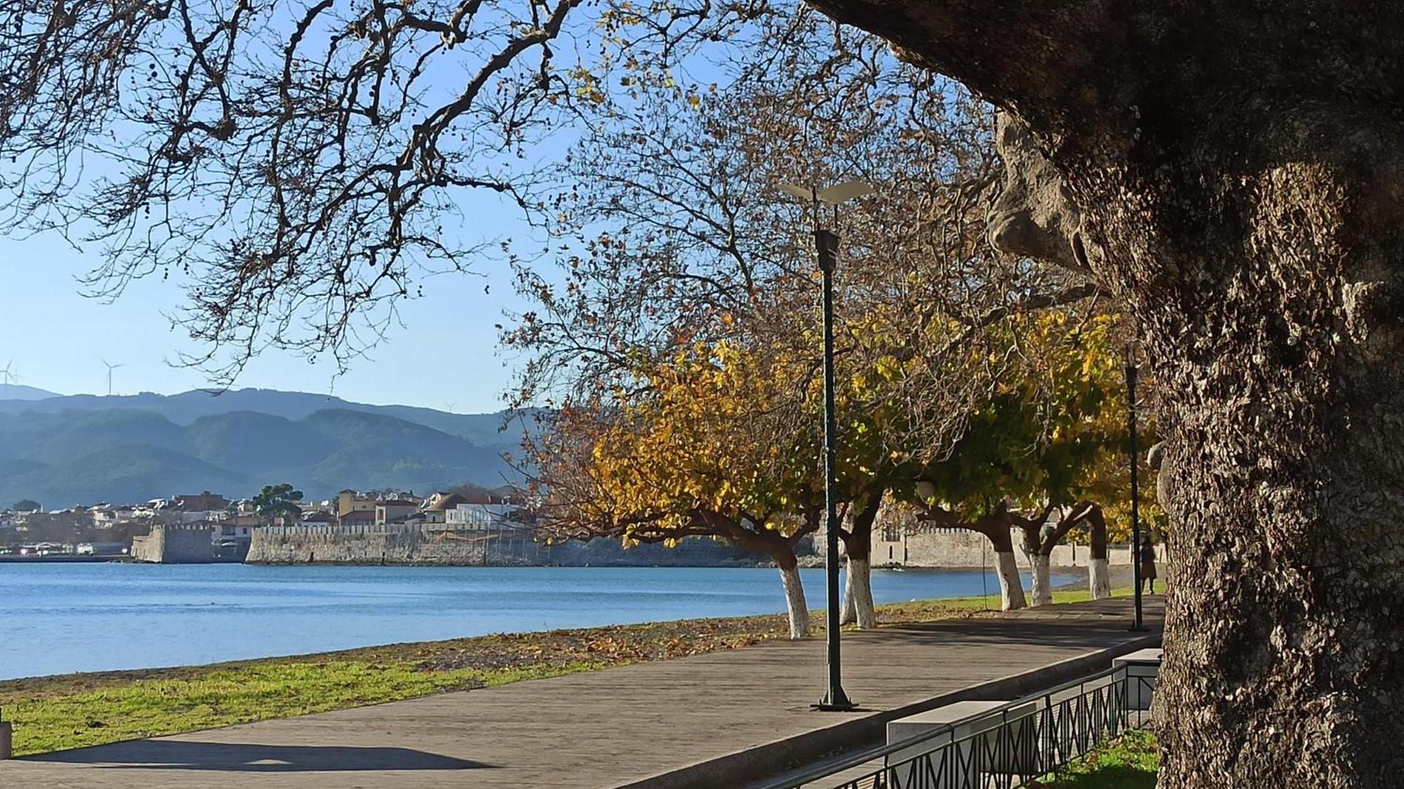 Nafpaktos Cottage By The Sea For Travelers And Dreamers! Dış mekan fotoğraf